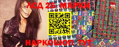 a pvp Кингисепп
