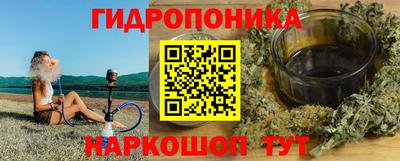 гашик Кимры