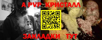 a pvp Кингисепп