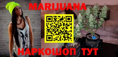 гашик Кимры