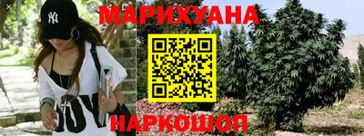 гашик Кимры