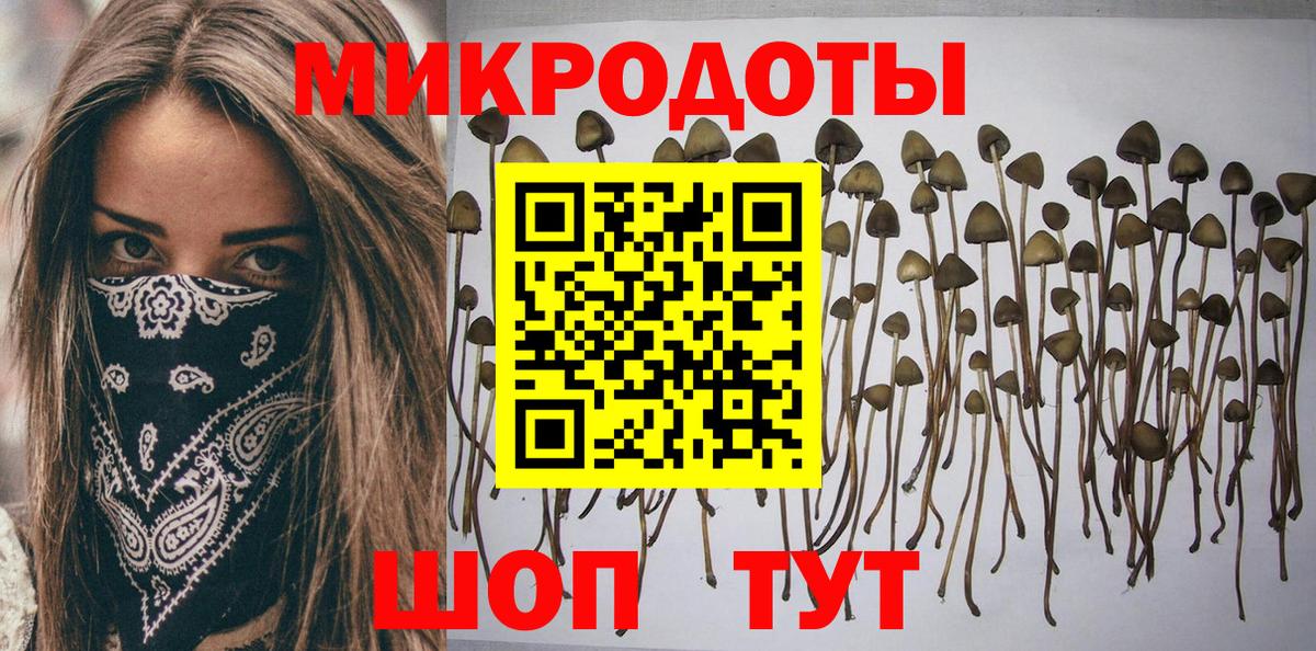Дагестанские Огни  Псилоцибиновые грибы MAGIC MUSHROOMS  Вход с VPN 